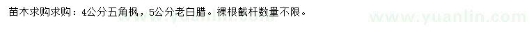 求購4公分五角楓、5公分老白臘