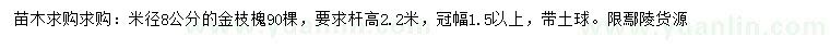 求購米徑8公分金枝槐