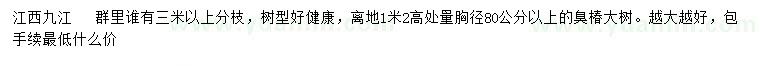 求購離地1.2米處量胸徑80公分以上臭椿