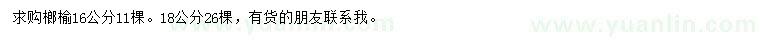 求購16、18公分榔榆