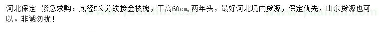 求購(gòu)地徑5公分矮接金枝槐