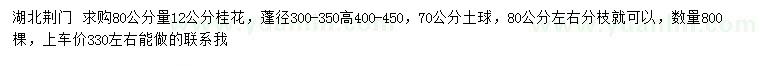 求購80公分量12公分桂花