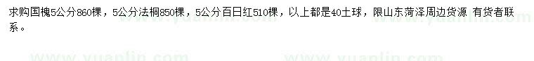 求購國槐、法桐、百日紅
