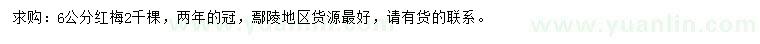 求購6公分紅梅
