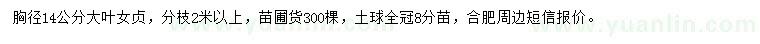 求購(gòu)胸徑14公分大葉女貞