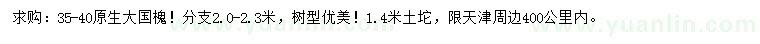 求購35-40公分國槐