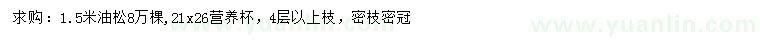 求購(gòu)1.5米油松
