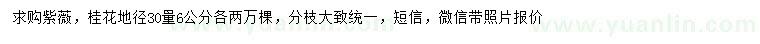 求購地徑30量6公分紫薇、桂花