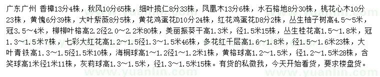 求購香樟、秋楓、細(xì)葉攬仁等