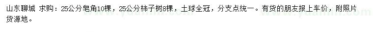 求購25公分皂角、柿子樹