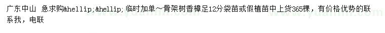 求購(gòu)12公分骨架樹香樟