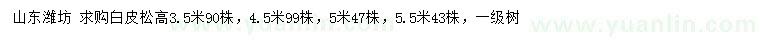 求購高3.5、4.5、5、5.5米白皮松