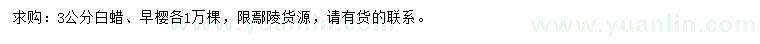 求購3公分白蠟、早櫻