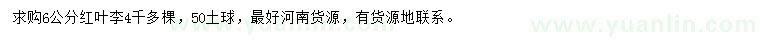 求購6公分紅葉李