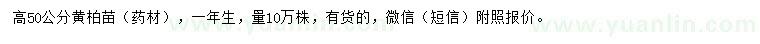 求購高50公分黃柏苗