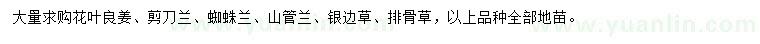 求購花葉良姜、剪刀蘭、蜘蛛蘭等