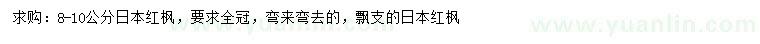 求購8-10公分日本紅楓