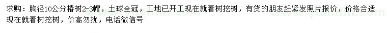 求購(gòu)胸徑10公分椿樹(shù)