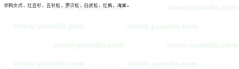 求購女貞、紅豆杉、五針?biāo)傻? />
                        <br />
                        <label style=