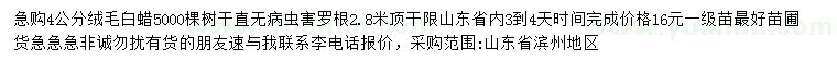 求購4公分絨毛白蠟