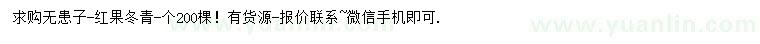 求購無患子、紅果冬青