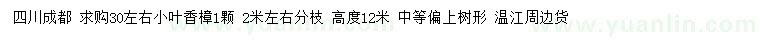 求購30公分左右小葉香樟
