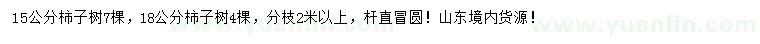求購(gòu)15、18公分柿子樹(shù)