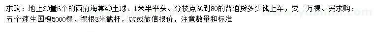 求購(gòu)30量6公分西府海棠、5公分速生國(guó)槐