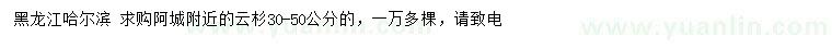求購30-50公分云杉