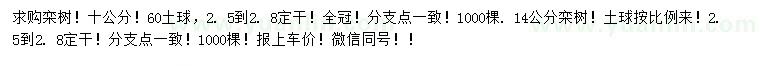求購10、14公分欒樹