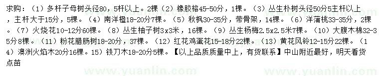 求購多桿子母樹、橡膠榕、叢生樸樹等