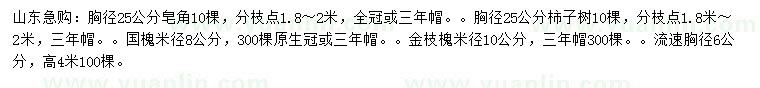 求購皂角、柿子樹、國槐等