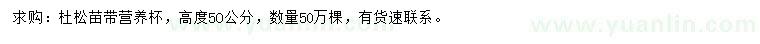 求購高50公分杜松苗