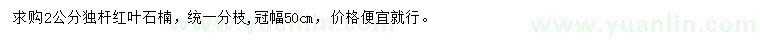 求購2公分紅葉石楠