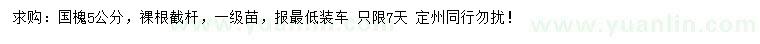 求購5公分國槐