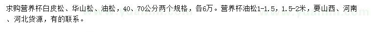 求購白皮松、華山松、油松