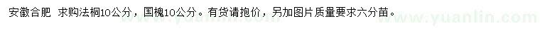 求購10公分法桐、國槐
