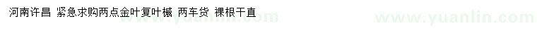 求購(gòu)2公分金葉復(fù)葉槭