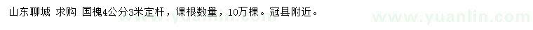 求購(gòu)4公分國(guó)槐