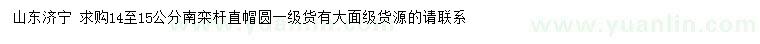 求購14-15公分南欒