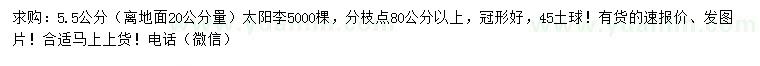 求購20公分量5.5公分太陽李