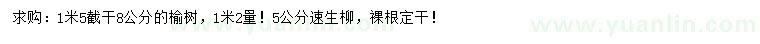 求購1.2米量8公分榆樹