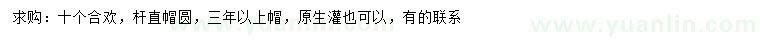 求購10公分合歡