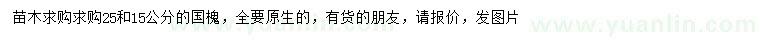 求購15、25公分國槐