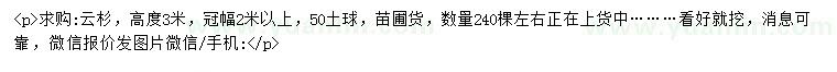 求購高3米云杉