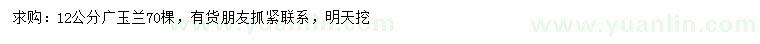 求購12公分廣玉蘭