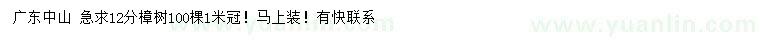 求購12公分樟樹
