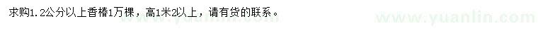 求購1.2公分以上香椿