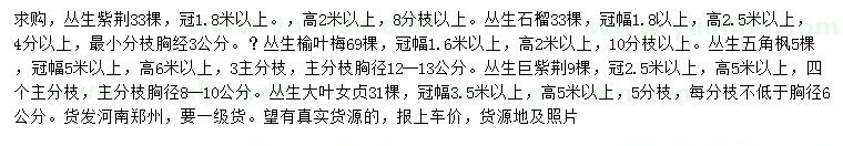 求購叢生紫荊、叢生石榴、叢生榆葉梅等