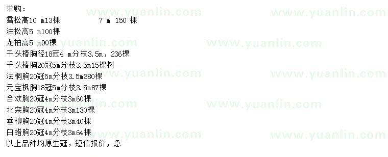 求購(gòu)雪松、油松、龍柏等